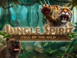 Jungle Spirit Slot Review