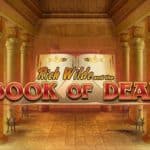 Thumbnail of Play'n Go Book of Dead Slot