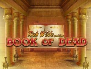 Thumbnail of Play'n Go Book of Dead Slot