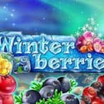 Logo for Yggdrasil Winter Berries Slot
