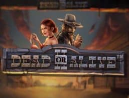 Dead or Alive 2 Slot Review