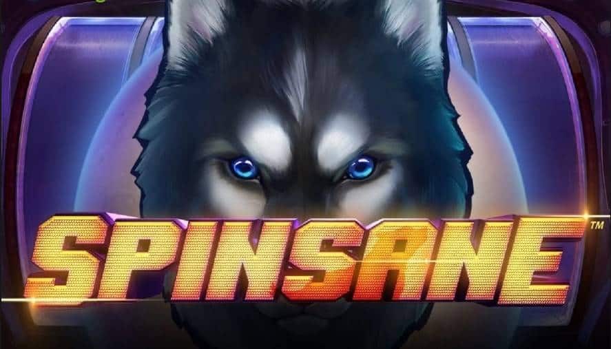 Spinsane Slot