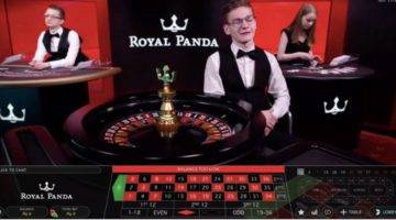Royal Panda indian winner
