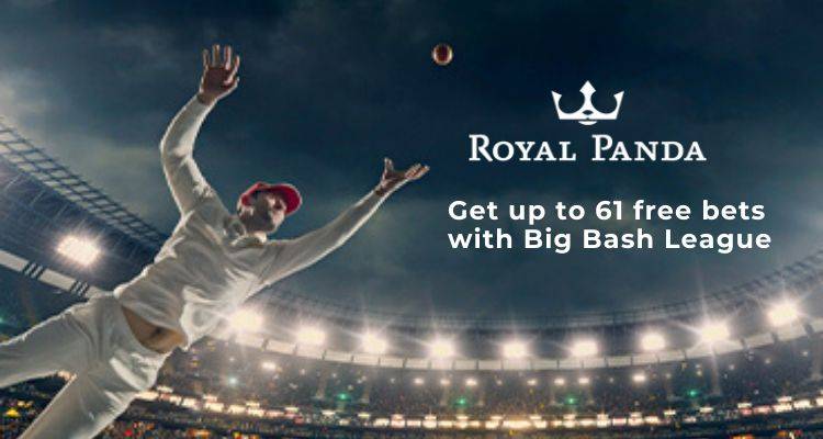 Royal Panda’s 2019/20 Big Bash League promotion