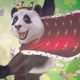 Play Pragmatic Play games at Royal Panda